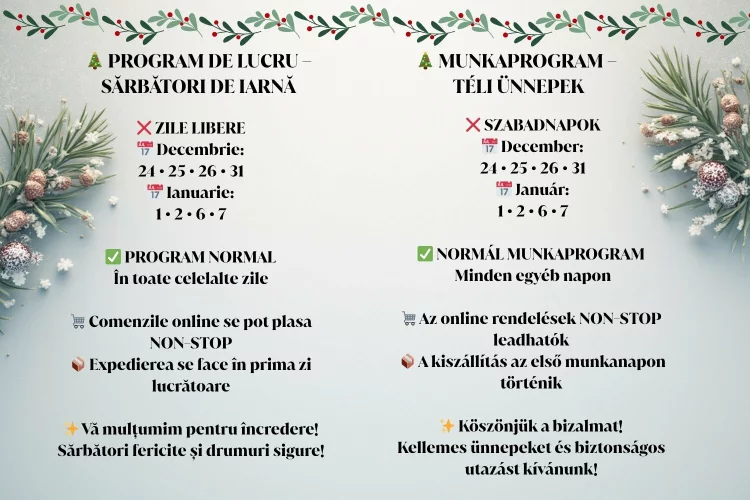 🎄 PROGRAM DE LUCRU – SĂRBĂTORI DE IARNĂ