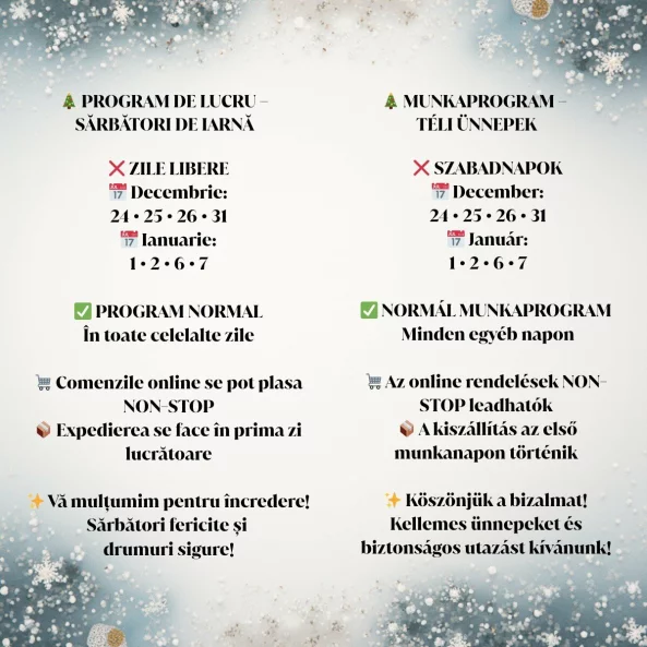 🎄 PROGRAM DE LUCRU – SĂRBĂTORI DE IARNĂ
