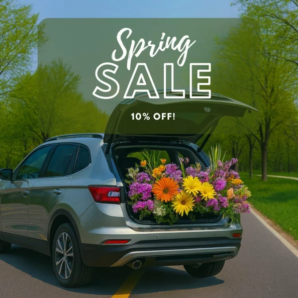 🌸 Spring Sale – 10% reducere