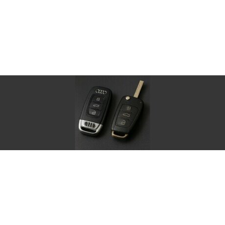 Audi key cases