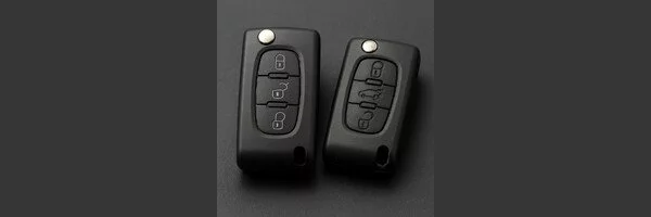 Carcase chei Citroen