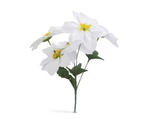 Decor de sărbători - Poinsettia albă