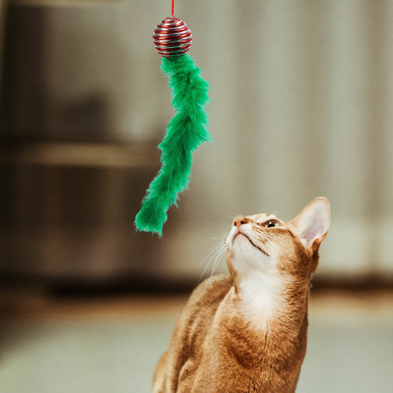 Jucărie pentru pisici - culori de Crăciun - 2 tipuri thumb
