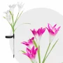 Lampă solară model floare - LED RGB - 75 cm - 2 buc. /pachet