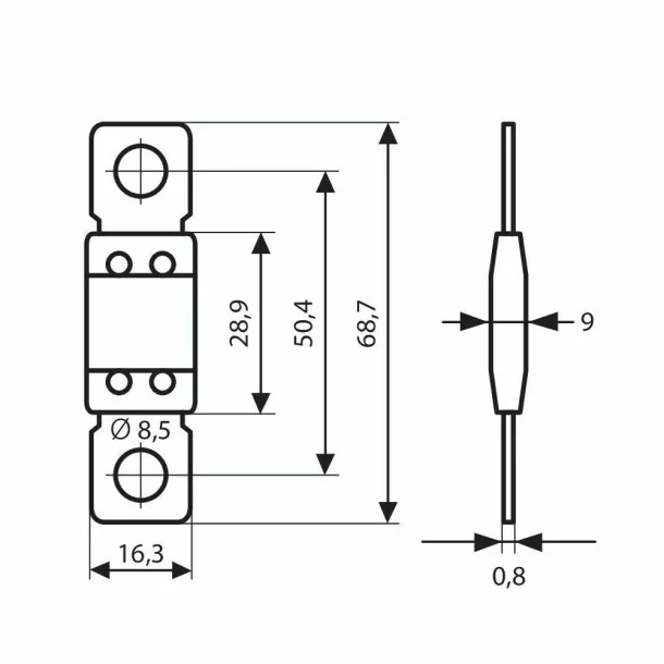 Siguranta ANL Maxi+, 12/32V - 100A