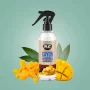 Odorizant cu atomizor Cayon K2 250ml - Mango