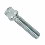 Prezoane jante sferice, R12, cap 17mm, filet M12x1.5, lungime filet 45mm, 10buc - TS1