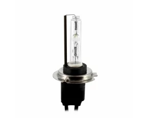 Bec Auto Xenon CARGUARD H7 4300K