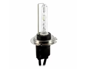 Bec Auto Xenon CARGUARD H7 6000K