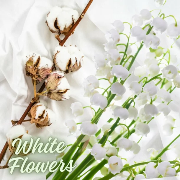 K2 Cayon air freshener 250ml - White Flowers
