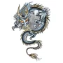 Autocolant Dragon metalic 1buc 30x47cm