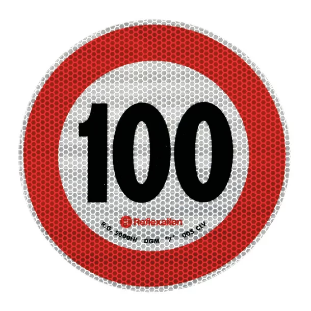 Speed limit sign - 100 Km/h