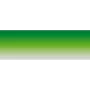 Window sun-screen sticker Top Line Standard 20x150cm - Green