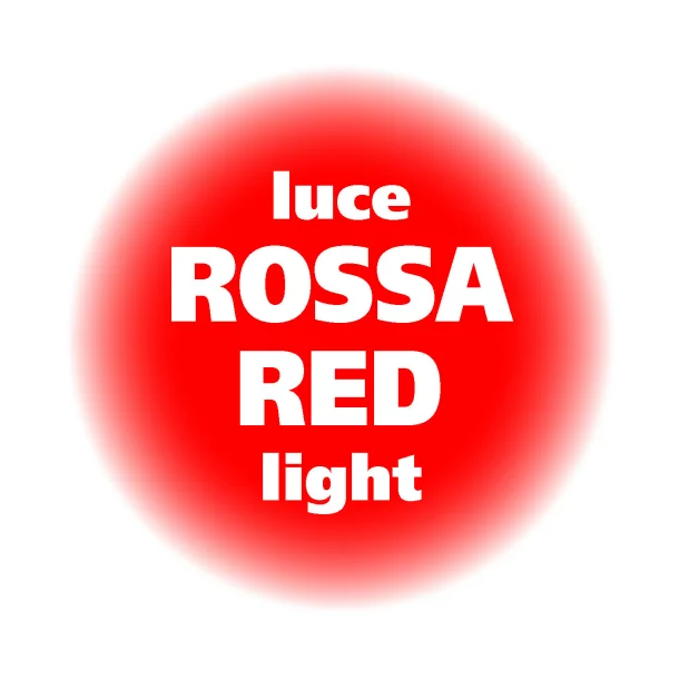 Bec clasic 12V 21W frana, ceata spate BA15s 2buc - Crom/Rosu