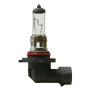 12V - H10 - 42W - PY20d 1pcs Lampa