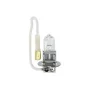 Bec halogen 24V - H3 - 70W - PK22s 1buc Trifa