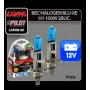12V Blu-Xe halogen lamp - H1 - 100W - P14,5s - 2 pcs