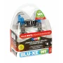 12V Blu-Xe halogen lamp - H1 - 100W - P14,5s - 2 pcs