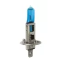 12V Blu-Xe halogen lamp - H1 - 55W - P14,5s - 2 pcs