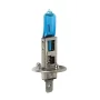 24V Blu-Xe halogen lamp - H1 - 70W - P14,5s - 2 pcs