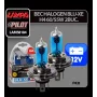 12V Blu-Xe halogen lamp H4 60/55W P43t 2pcs
