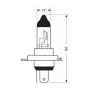 12V Blu-Xe halogen lamp H4 60/55W P43t Filson - 2pcs