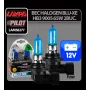 12V Blu-Xe halogen lamp - HB3 9005 - 65W - P20d - 2 pcs