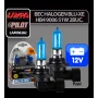 12V Blu-Xe halogen lamp - HB4 9006 - 51W - P22d - 2 pcs