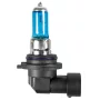 12V Blu-Xe halogen lamp - HB4 9006 - 51W - P22d - 2 pcs