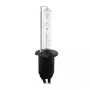 Xenon lamp H1 12V - 1pcs - 6000K