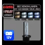 12V Spare bulb Xenon - H1 - Bulk