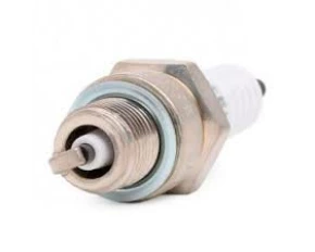 Bujii scanteie Dacia Champion OE007L87YC