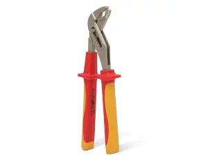 Cleste papagal, 250 mm
