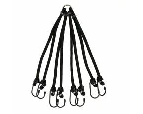 Cordon cauciucat cu 8 brate Ø8mm 30-55cm Spider