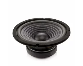 Difuzor  HI-FI HOME 8&quot; (203 mm) 100/200W / 8 Ohm