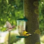 Bird Feeder with suction cup