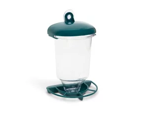 Bird Feeder with suction cup