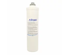 Filtru de rezerva - Post Activated Carbon filter