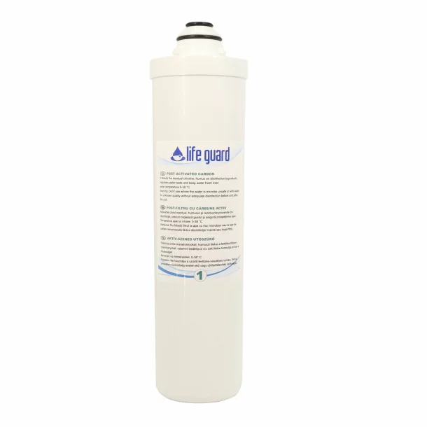 Filtru de rezerva - Post Activated Carbon filter