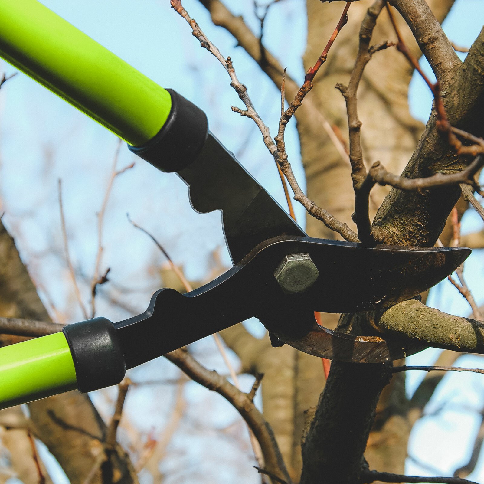 Branch shears - steel blade - 390 x 135 x 27 mm thumb