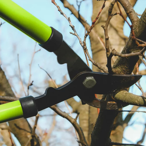 Branch shears - steel blade - 390 x 135 x 27 mm