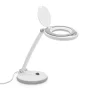 LED Desk Lamp