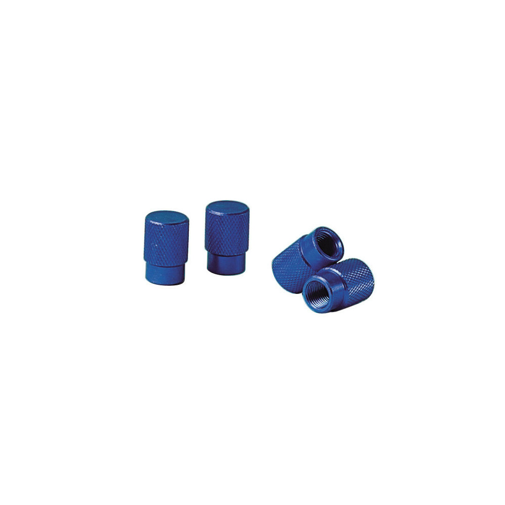 Ornamente capacele valve Sport Cap 4buc - Albastru thumb