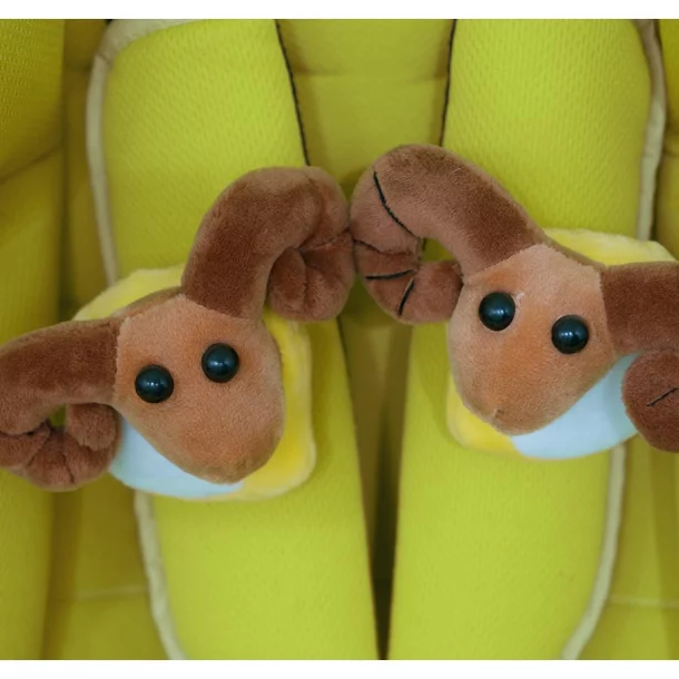 Comfort 601 Gyerek autósülés 2 az 1-ben, ECE R44/04, 9-36 kg - Zöld