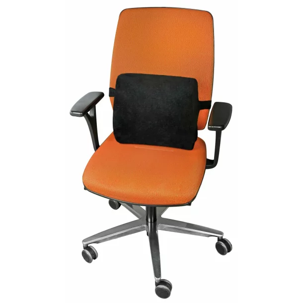 Lumbar support, ergonomic back support