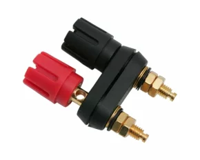 Terminal Banane2 suclumontabilcontacte aurite