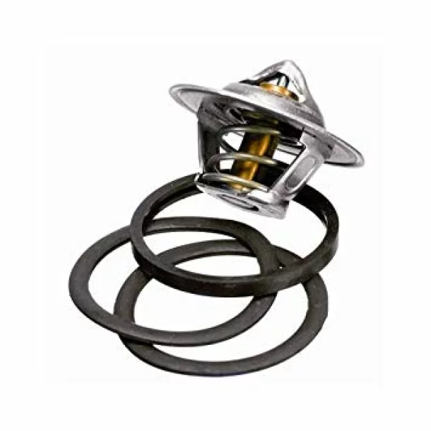 Termostat Wahler - Citroen Berlingo, Fiat Ulysse, Renault 21