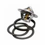 Termostat Wahler - Citroen Berlingo, Fiat Ulysse, Renault 21
