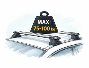 Ce greutate suportă barele portbagaj și plafonul mașinii – ghid complet